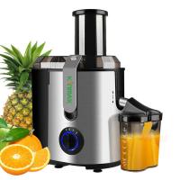 Mastiquer la machine lente entière de presse-fruits de presse-fruits avec la presse froide pour le légume orange d'Apple de fruit à la maison