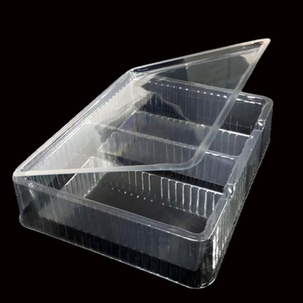 High Clarity PET Hinged Flip Top Blister Box for Face Mask and Cosmetic Packaging 2 Compartment Design