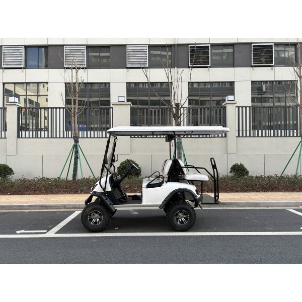 Electric Off Road Golf Buggy Utility Vehicle With Certification And No Less Than 80km Traveling Range 12 Inch Wheel