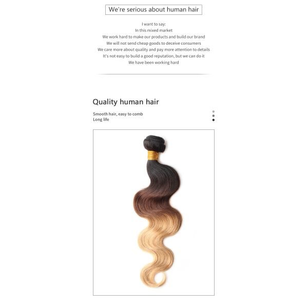 1b 4 27 BW Colored Human Hair Bundles