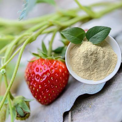 Pó amarelo do adubo orgânico do quelato do ácido aminado dos micronutrientes