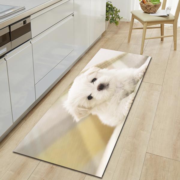 Absorvente bonito animal da água de Mats Home Entry Door Mat do assoalho da cozinha do cão