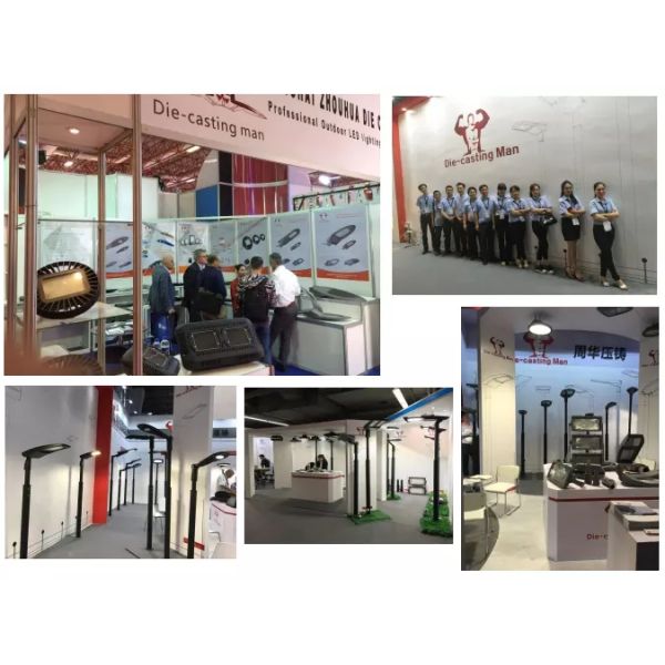 Симметричные света открытого сада привели приспособление освещения парка IK08 IP66