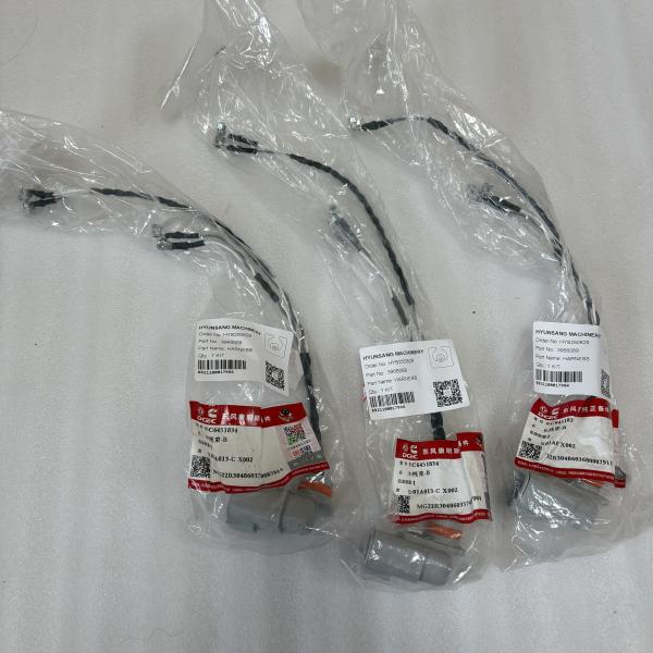 Wiring Harness 3966069 for Cummins Engine 6CT Qsl9 6b5.9 6c8.3 6L8.9