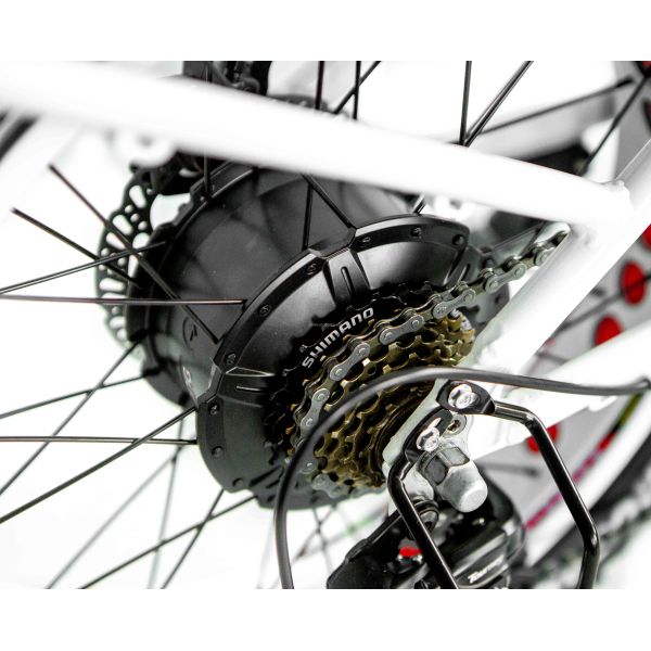 48V 21ah Lithium Battery CE Certified 1000W 50KM/H Big Snow Fat Tire Electric Folding Bike Full Suspension