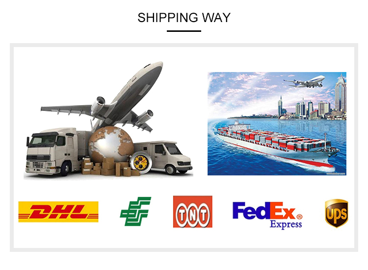 LCD в реальном времени показывает заряжатель банка силы панели солнечных батарей электростанции 1000W внешний для аварийного на открытом воздухе электропитания