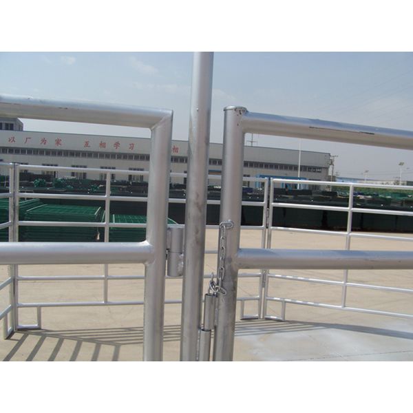 Horse and Sheep Yard Panels for Sale 1.8m x 2.1m 6 Horizontal Rails Oval tube 115x42mm