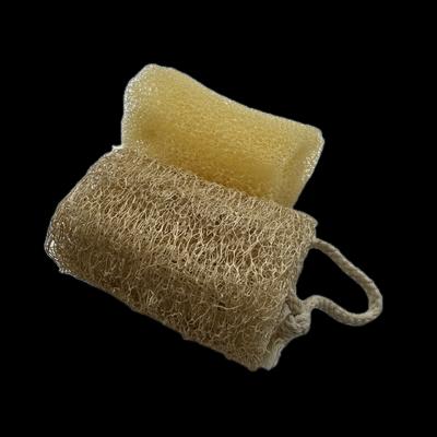 Natural Loofah Slices for Soap Making Custom Size 10-17cm