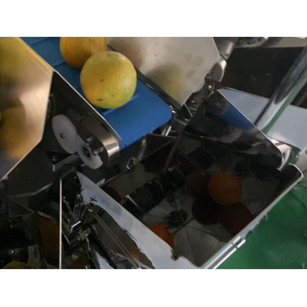 Пояс Weigher Multihead плода SUS304 изготовленный на заказ питаясь для поврежденного избежания