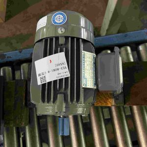 Medium Voltage Induction Motor