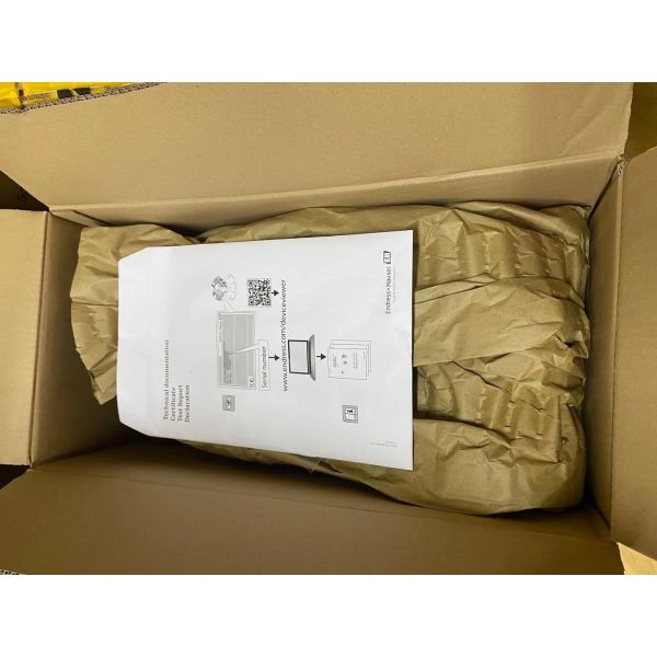 Endress+Hauser FMD77-VQV0101 | Deltabar S DP Transmitter with Diaphragm Seal