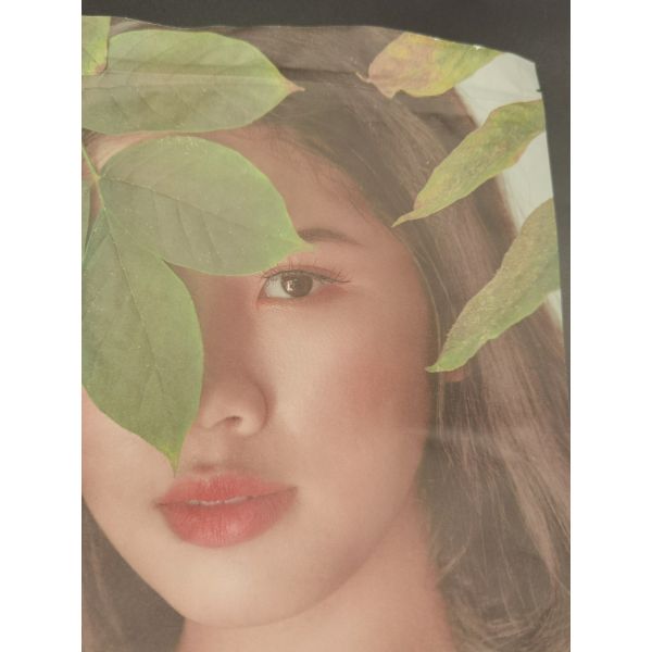 Customization Kraft Paper Packaging Bags CTP Printing Kraft Paper Pouch Packaging