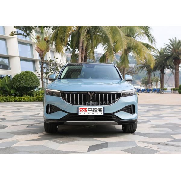 2021 Powerful New Adult Sedan Electric Cars Cheap Lantu FREE 2021 four-wheel drive extended range version