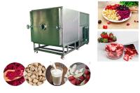High Capacity Food Vacuum Freeze Dryer 100 Kg/Batch Freeze Dry Fruit Machine