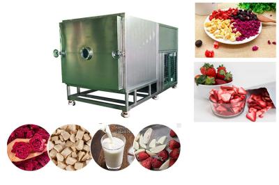 High Capacity Food Vacuum Freeze Dryer 100 Kg/Batch Freeze Dry Fruit Machine
