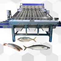 Máquina de classificação de croaker amarelo pequeno e eficiente