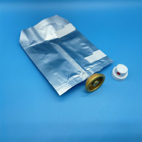 Female Aluminum Bag-On-Valve – High-Performance Valve for Industrial Use, 1-Inch Female Design