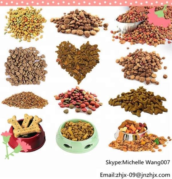 Ligne de production d'aliments pour animaux de compagnie Machine industrielle automatique pour l'alimentation des poissons humides et secs