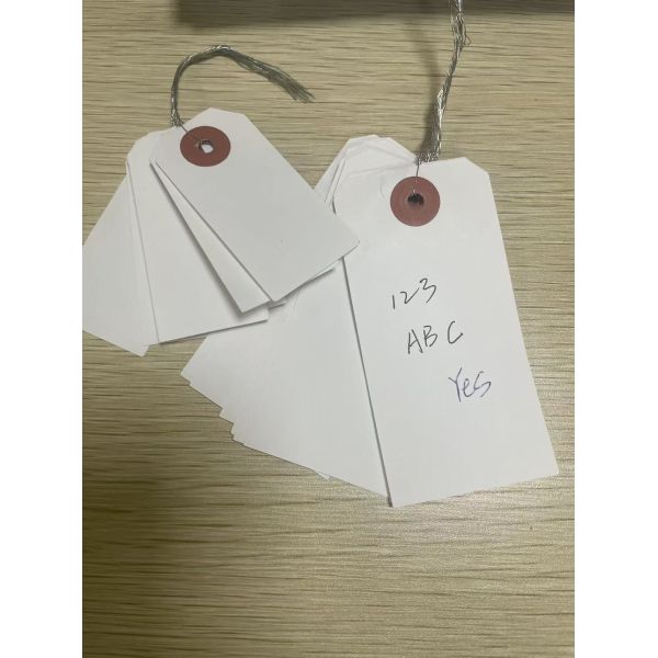 Étiquette cadeau vierge en vinyle - Étiquette en plastique PVC indéchirable et imperméable avec attache métallique