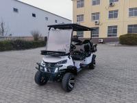 Chariot de golf électrique à cadre en acier avec panneau solaire et roues radiales sous vide 225/40-14 parfaites
