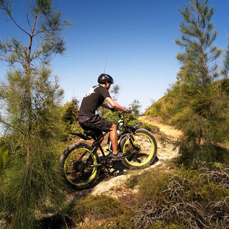 Легковес жирное 48V 1000w 17AH 26