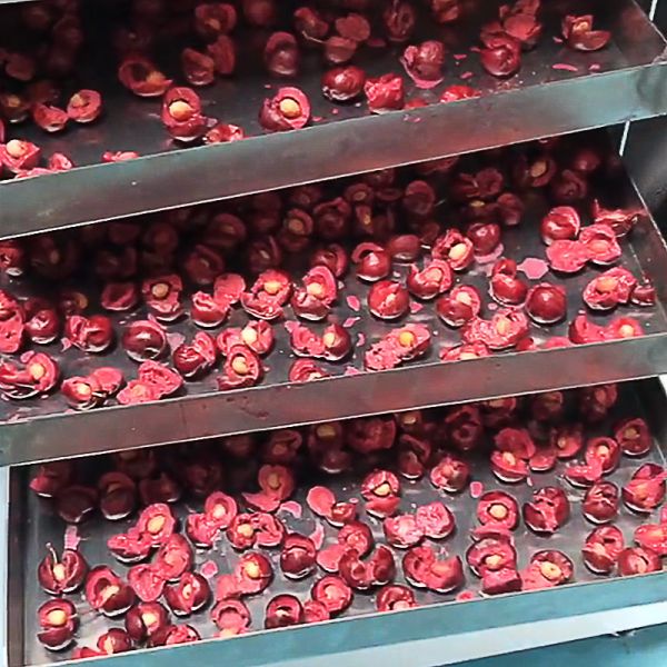 Домашнее мясо обезвоживателя сублимации сушильщика замораживания