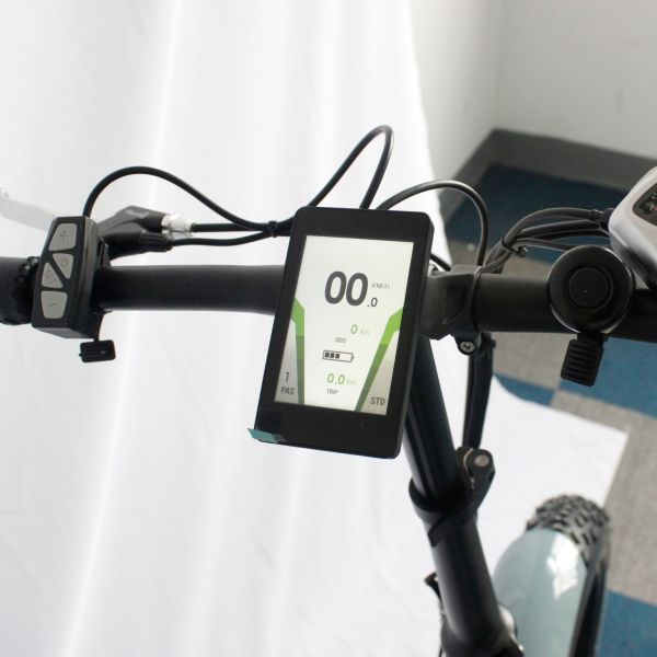 Beach Cruiser Electric Folding Fat Tire Bike Battery Cycle Fat Tyre Ebikes