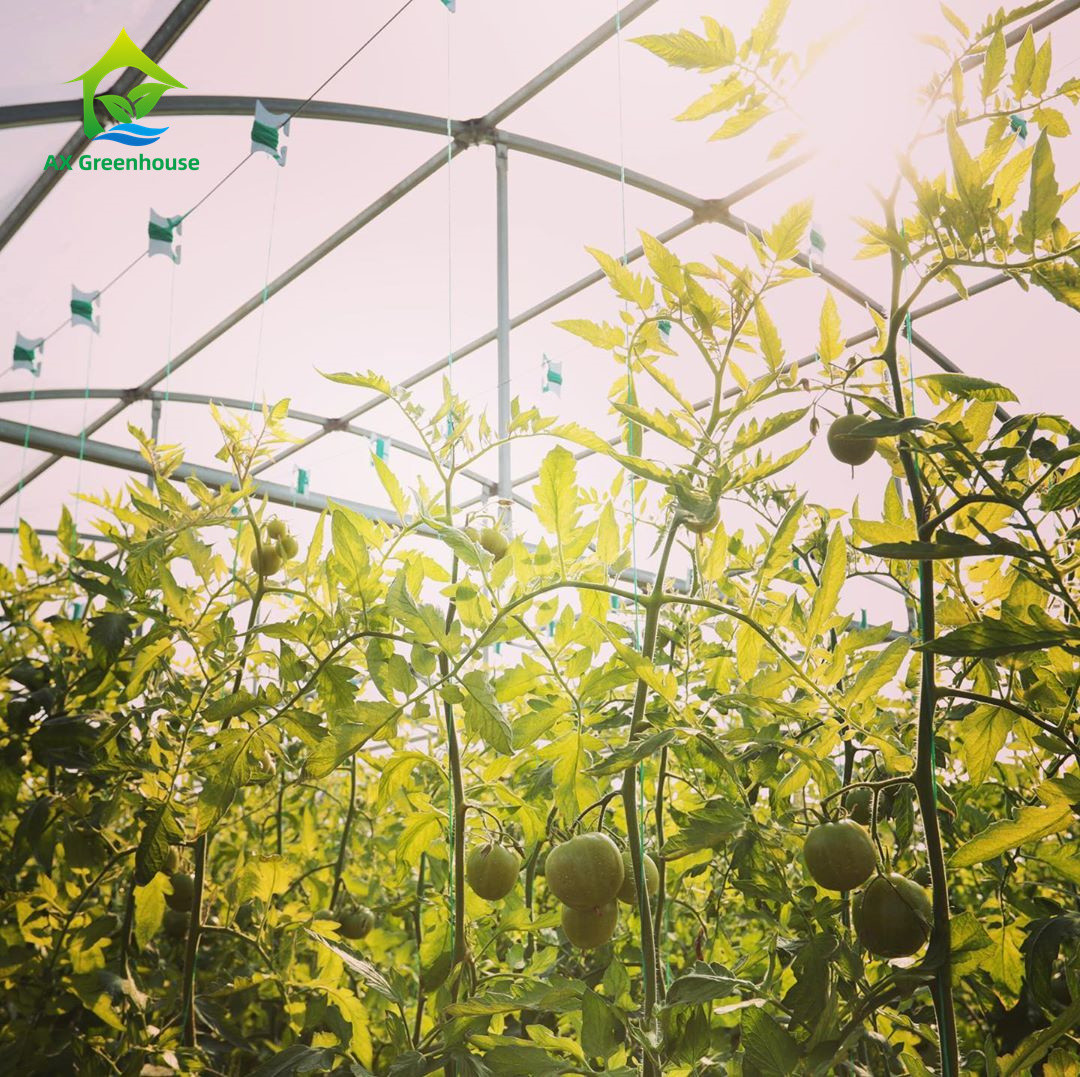 ODM OEM системы Soilless вертикали культивирования Hydroponic растя