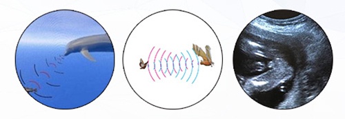 CS01 Rehabilitation Ultrasound Muscle Treatment Machine For Physiotherapy