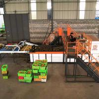Machine de tri orange à apprentissage profond jusqu'à 50 ports de décharge pour séparer la taille et le poids du grade