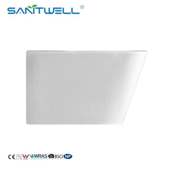 Пол размера биде 490*370*300 mm лотка WC Bathroom поставщиков Китая белой повешенный стеной - установленное биде
