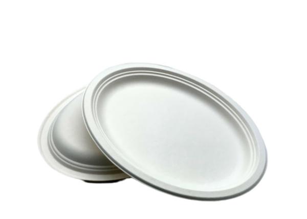 17g 10 Oval Biodegradable Sugarcane Bagasse Plates