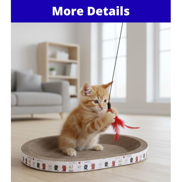 Cat Scratcher Pad Oval Bed Corrugated Cardboard Lounge Furniture Protector