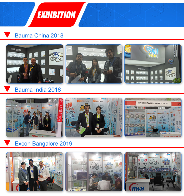 Уплотнение пыли PU экскаватора гидравлическое, голубое уплотнение счищателя DHS цвета