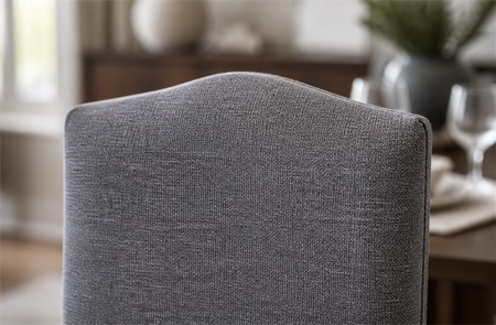 Fully Upholstered Skirted Dining Chair TR-H001