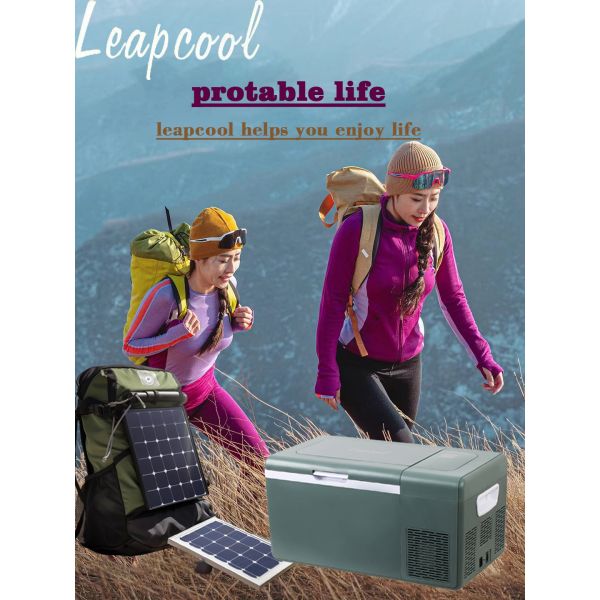 Портативный 25L одиночный зоны автомобильный холодильник пляжный отпуск дизайн стиль -22.00000000000004 C