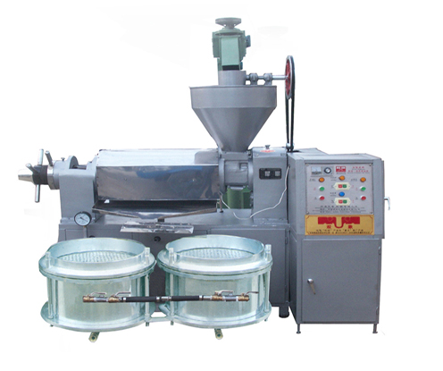 Large Capacity Stainless Steel Soya Bean Oil Processing Machine for South African Food Manufacturing Industry