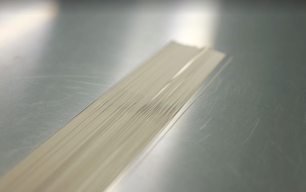 Foshan Lezi Medical Technology Co.,Ltd