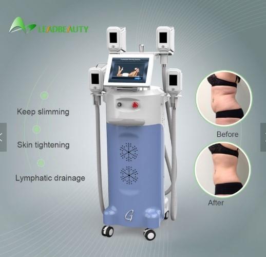 the most effective cryo slimming machine  paypal accepted Hot sale salon and clinic use best quality