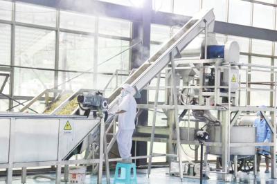 Customized Multifunctional Industrial Blueberry Sauce Processing Machinery