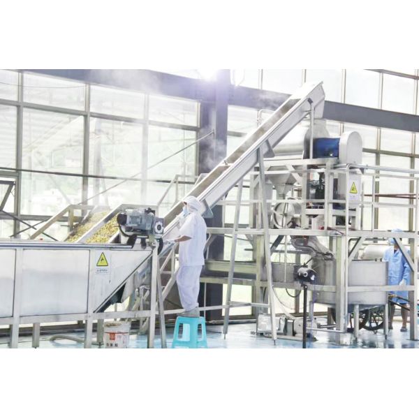 Complete Fruit & Vegetable Processing Line | Washing to Juicing | Turnkey Plant
