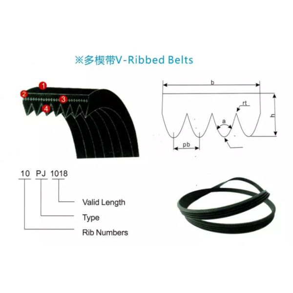 Tension Roller Kit Bearing Pulley Wheel EPDM Rubber CR PK Belts