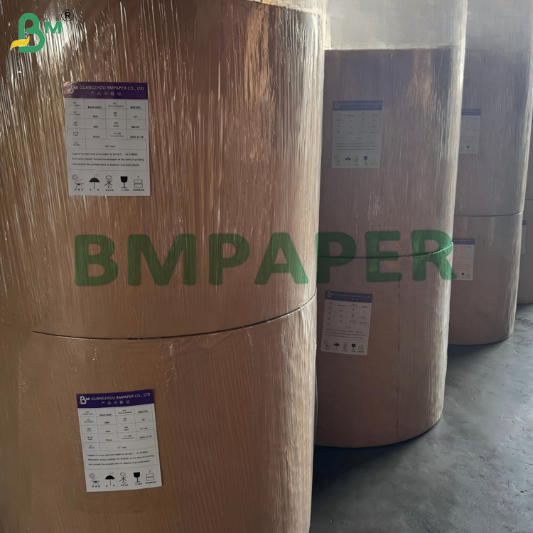 170gsm 190gsm Waterbased Single Coated Cupstock Paper Compostable 650mm