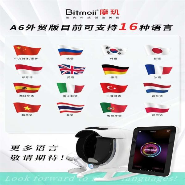 Beauty Salon Full Face Skin Test Machine With UV / RGB / PL Light Multilanguage Support