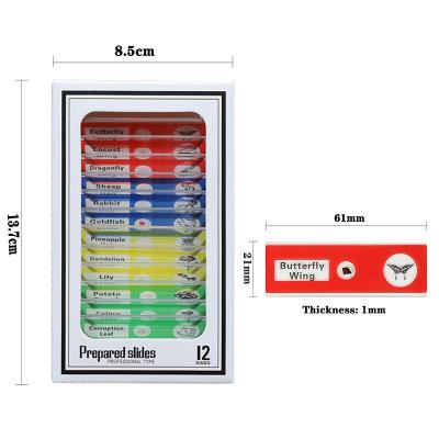 Children Toys Educational 48pcs Square Microscope Slides Combined 4 Colors