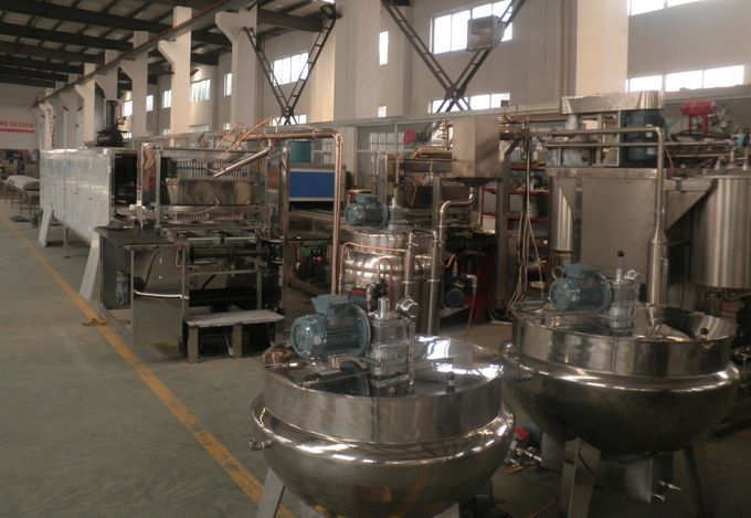 Машины обработки большого gelatim конфеты студня ISO CE производственной линии 600kg /h конфеты Gummies softcandy