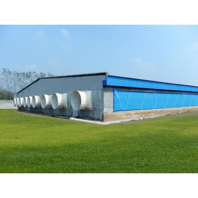 Steel Chicken Coops Hen House Industrial Design Style Automatic Layer Building for Hotel