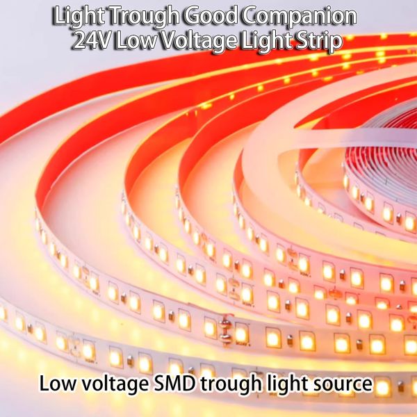 Cinturón de luz LED autoadhesivo Display de gabinete blando Cinturón de luz lineal resistente al agua sin transformador