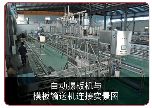 Automatic Stacking Machine for Bean Product Processing 220 KG Weight Capacity