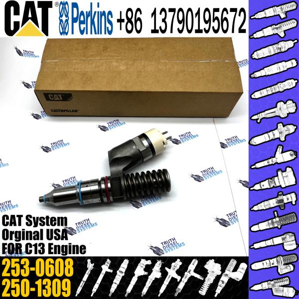 Injecteurs de carburant pour moteur C13 Excavateur de train commun 250-1309 259-5409 239-4908 294-3002 253-0608 pour voiture C